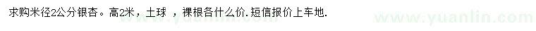 求購米徑2公分銀杏