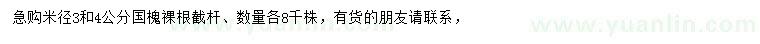求購(gòu)米徑3、4公分國(guó)槐