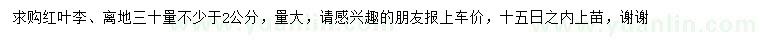 求購30量2公分以上紅葉李