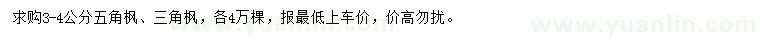 求購(gòu)3-4公分三角楓、五角楓