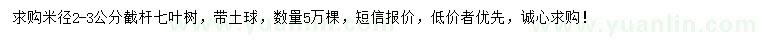 求購米徑2-3公分七葉樹