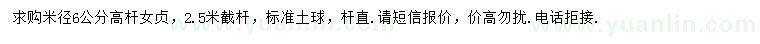 求購6公分高桿女貞
