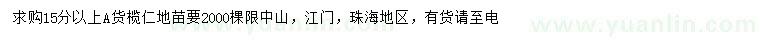 求購(gòu)15公分以上欖仁
