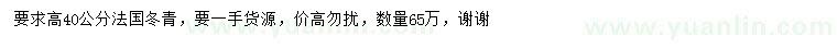 求購高40公分法國冬青