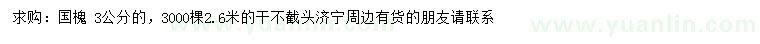 求購3公分國槐