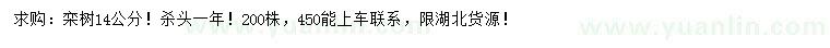 求購(gòu)14公分欒樹(shù)