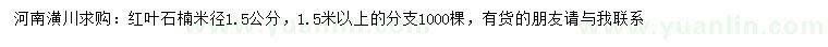 求購米徑1.5公分紅葉石楠