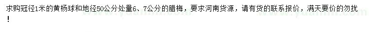 求購(gòu)冠徑1米黃楊球、50量6、7公分臘梅