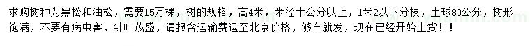 求購(gòu)高4米黑松、油松