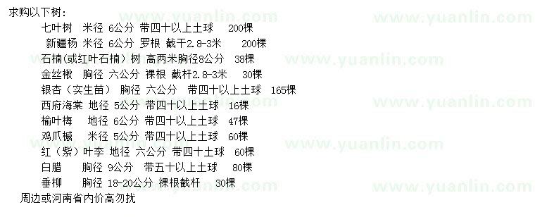 求購七葉樹、新疆楊、石楠等