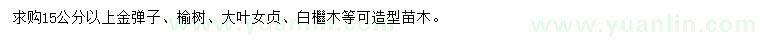 求購金彈子、榆樹、大葉女貞等