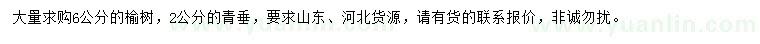 求購6公分榆樹、2公分青垂