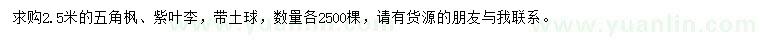 求購(gòu)2.5米五角楓、紫葉李