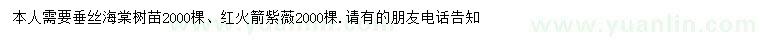求購垂絲海棠、紅火箭紫薇