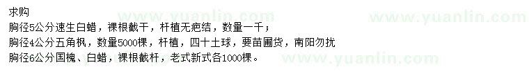 求購(gòu)速生白蠟、五角楓、國(guó)槐等