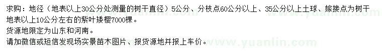 求購30量5公分紫葉矮櫻