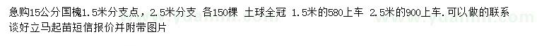 求購(gòu)15公分國(guó)槐 