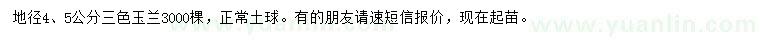 求購地徑4、5公分三色玉蘭