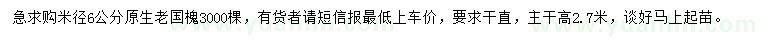 求購(gòu)米徑6公分老國(guó)槐 