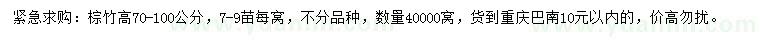求購高70-100公分棕竹
