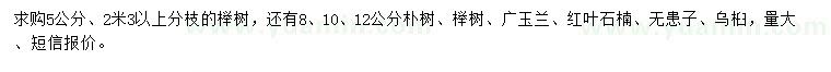 求購(gòu)櫸樹、樸樹、廣玉蘭等