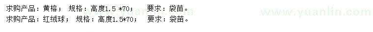求購(gòu)高1.5米黃榕、紅絨球