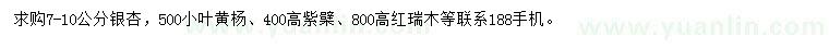 求購銀杏、小葉黃楊、紫檗等