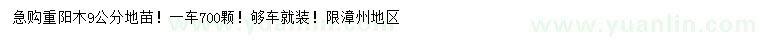 求購9公分重陽木