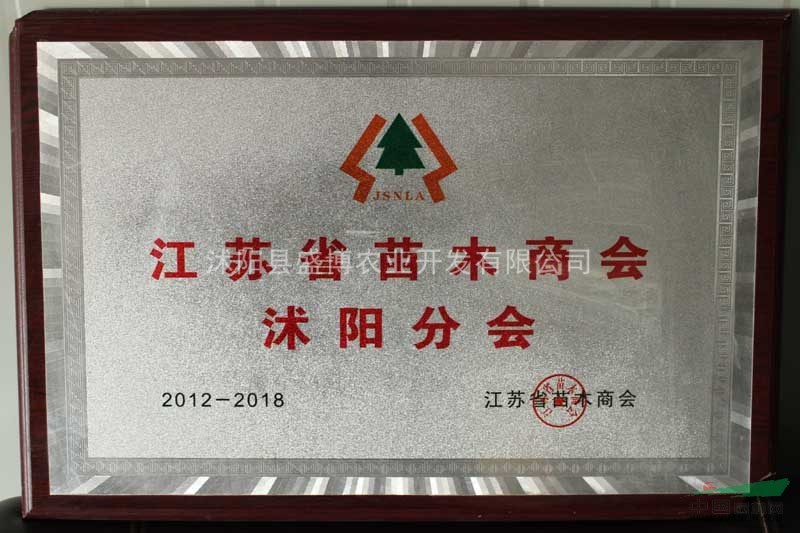 西安國(guó)槐價(jià)格