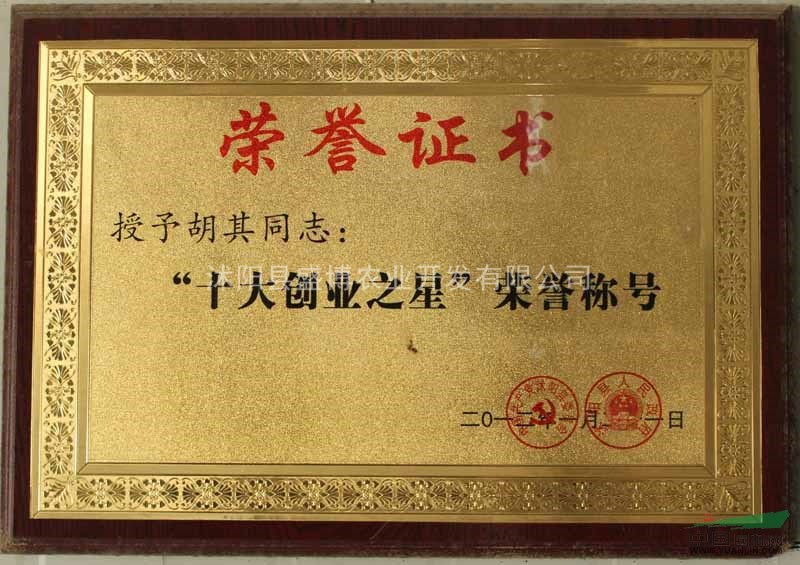 西安國(guó)槐價(jià)格