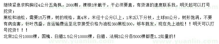 求購五角楓、黑松、油松等