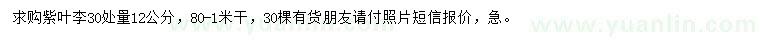 求購30處量12公分紫葉李