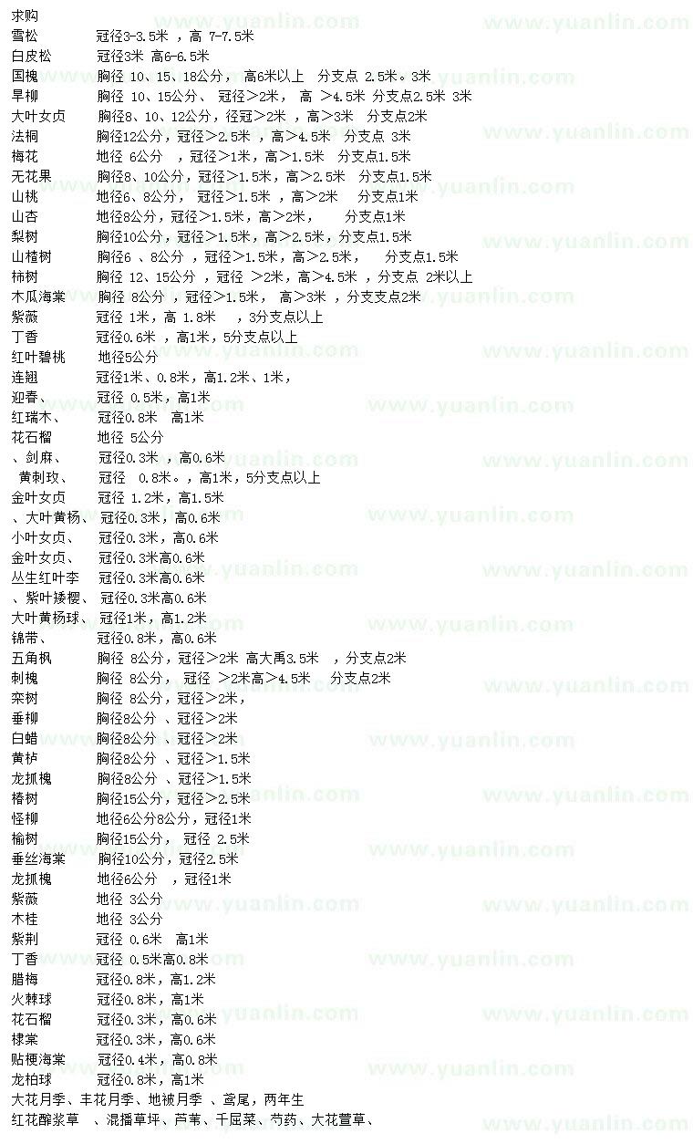 求購雪松、白皮松、國槐等