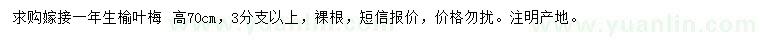 求購高70公分榆葉梅