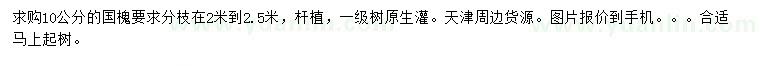求購10公分國槐