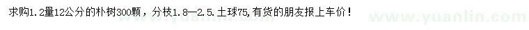 求購1.2量12公分樸樹