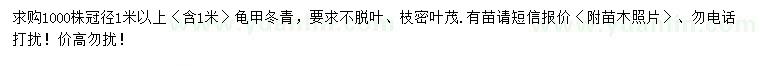 求購(gòu)冠幅1米龜甲冬青