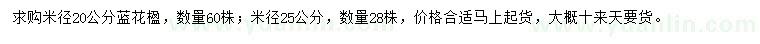 求購米徑20公分藍(lán)花楹