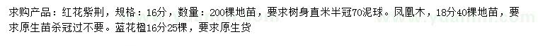 求購紅花紫荊、鳳凰木、藍花楹