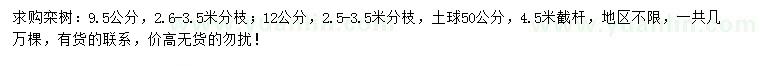 求購9.5、12公分欒樹