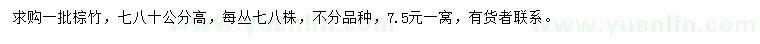 求購高70、80公分棕竹