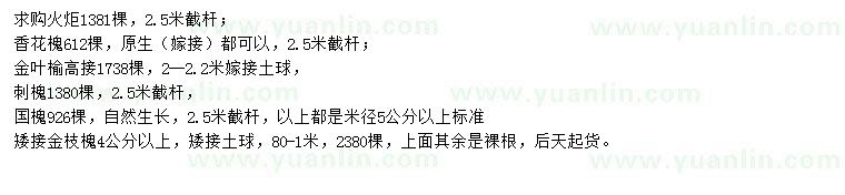 求購火炬、香花槐、金葉榆等