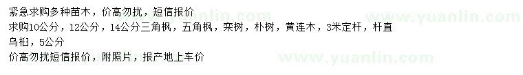 求購(gòu)三角楓、五角楓、欒樹(shù)等
