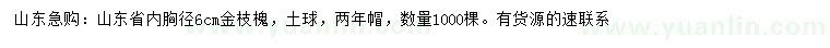 求購胸徑6公分金枝槐