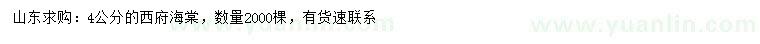 求購4公分西府海棠