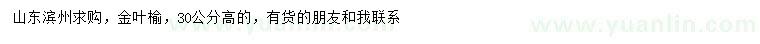 求購高30公分金葉榆