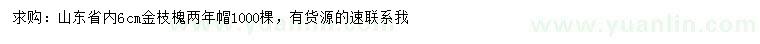 求購6公分金枝槐