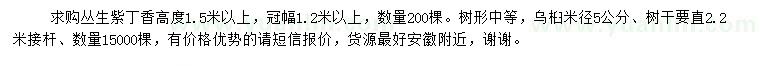 求購叢生紫丁香、米徑5公分烏桕