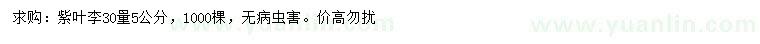 求購(gòu)30量5公分紫葉李
