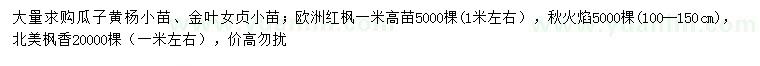求購瓜子黃楊、金葉女貞、歐洲紅楓等